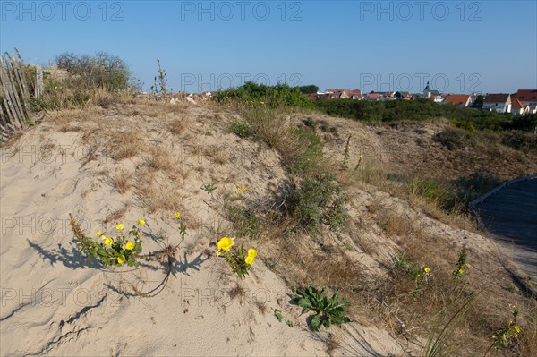 Merlimont Plage, educational trail