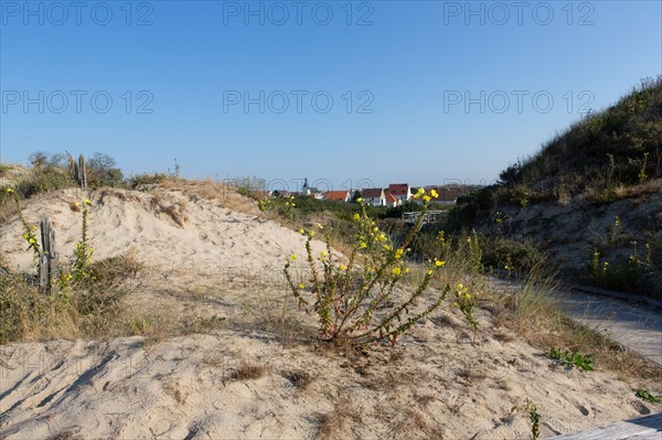 Merlimont Plage, sentier de découverte de la dune parabolique