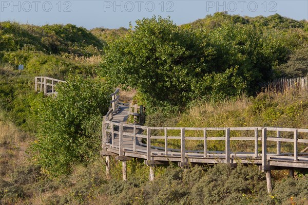 Merlimont Plage, sentier de découverte de la dune parabolique