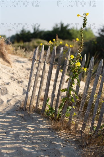 Merlimont Plage, educational trail