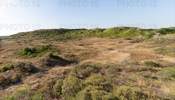 Merlimont Plage, sentier de découverte de la dune parabolique