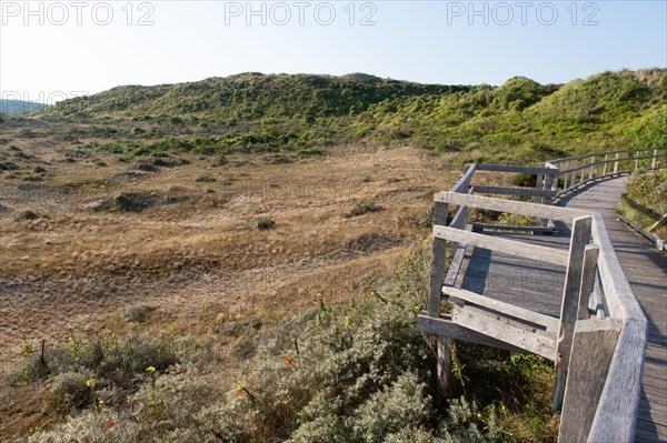 Merlimont Plage, sentier de découverte de la dune parabolique