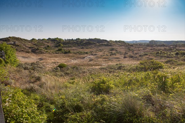 Merlimont Plage, sentier de découverte de la dune parabolique