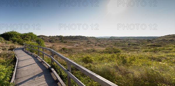 Merlimont Plage, sentier de découverte de la dune parabolique