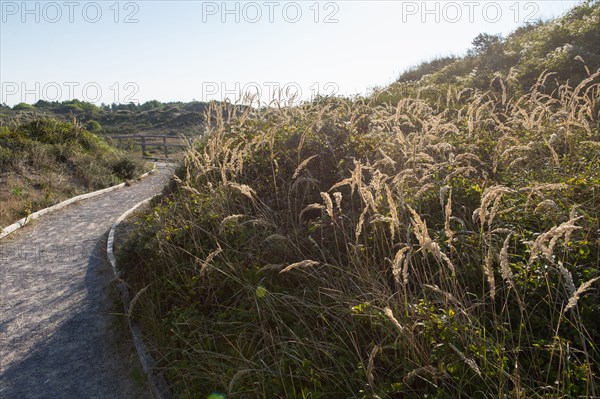 Merlimont Plage, sentier de découverte de la dune parabolique