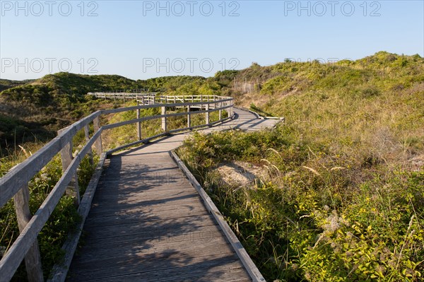 Merlimont Plage, sentier de découverte de la dune parabolique