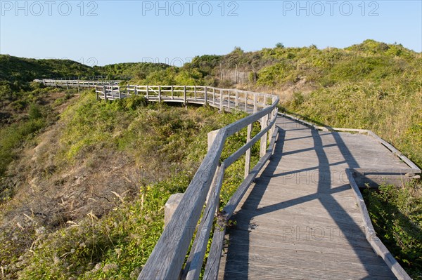 Merlimont Plage, sentier de découverte de la dune parabolique