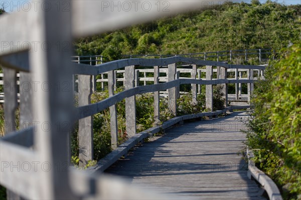 Merlimont Plage, sentier de découverte de la dune parabolique