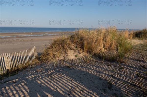 Merlimont Plage, dune on the seafront