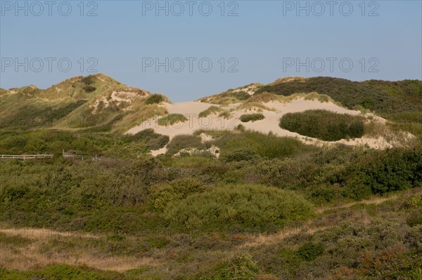 Merlimont Plage, sentier de découverte de la dune parabolique