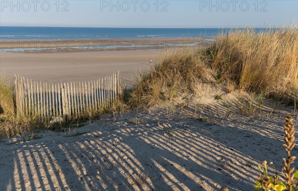 Merlimont Plage, bande dunaire sur le front de mer