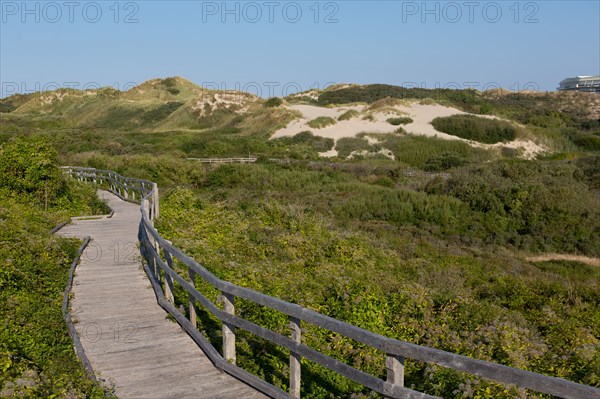 Merlimont Plage, sentier de découverte de la dune parabolique