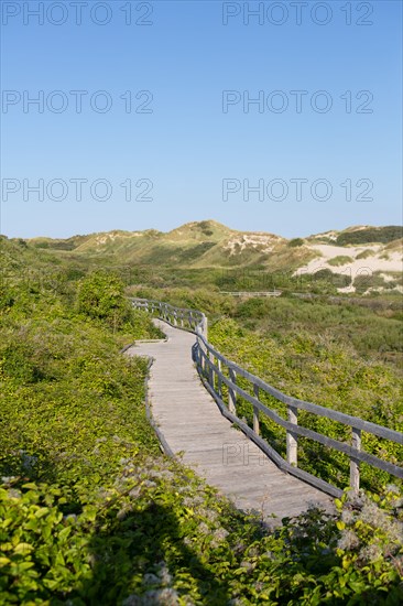 Merlimont Plage, sentier de découverte de la dune parabolique