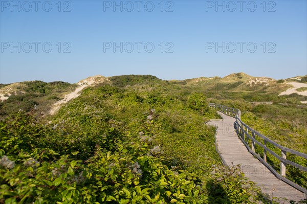 Merlimont Plage, sentier de découverte de la dune parabolique