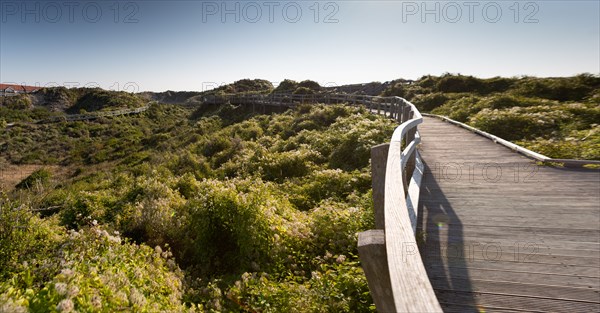 Merlimont Plage, sentier de découverte de la dune parabolique