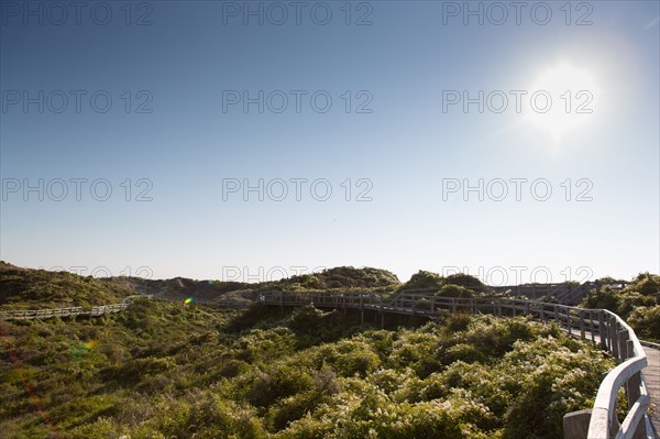 Merlimont Plage, sentier de découverte de la dune parabolique