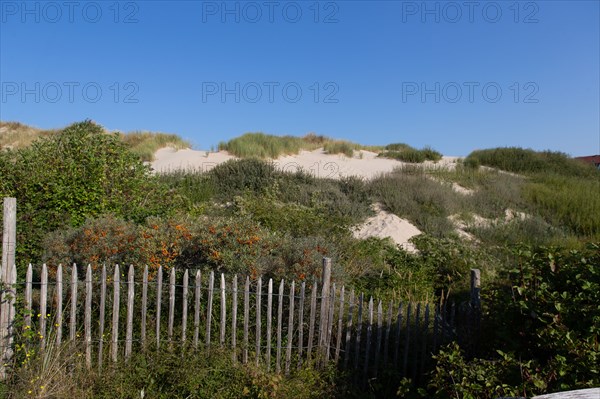 Merlimont Plage, bande dunaire sur le front de mer