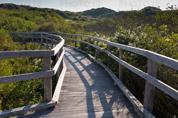 Merlimont Plage, sentier de découverte de la dune parabolique