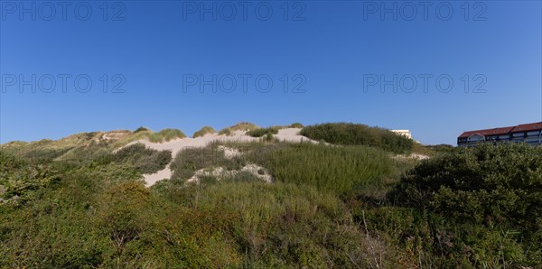 Merlimont Plage, bande dunaire sur le front de mer