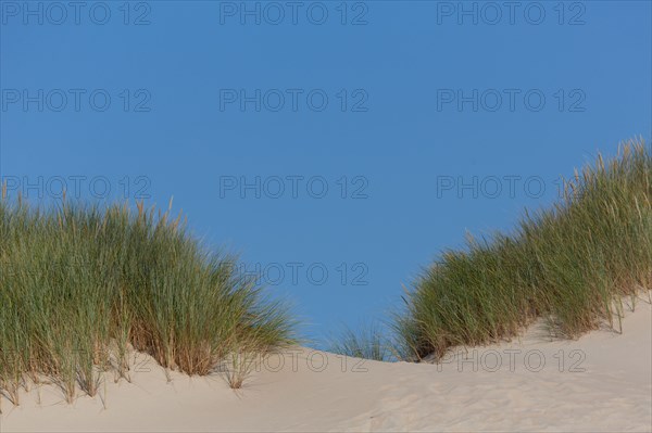 Merlimont Plage, dune on the seafront