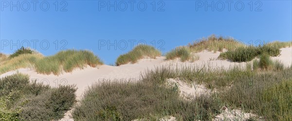 Merlimont Plage, dune on the seafront