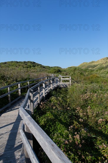 Merlimont Plage, sentier de découverte de la dune parabolique