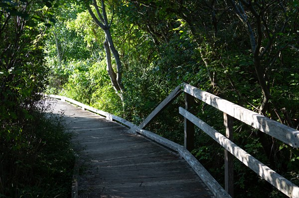 Merlimont Plage, educational trail