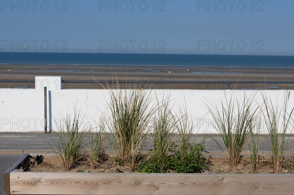 Merlimont Plage, front de mer