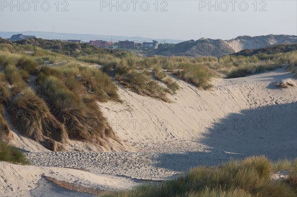 Merlimont Plage, dunes de Stella-Merlimont