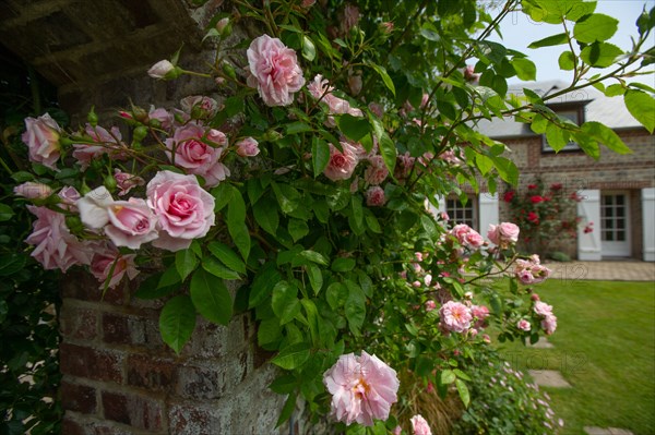 Veules-les-Roses, Moulin des Cressonnieres