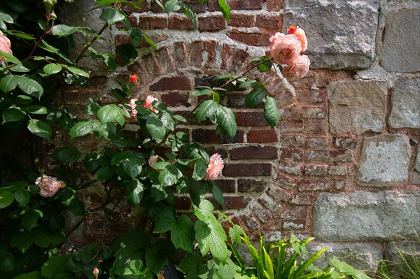 Veules-les-Roses, Moulin des Cressonnieres