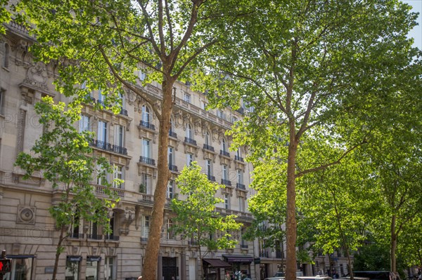 Paris, building 17 boulevard Raspail