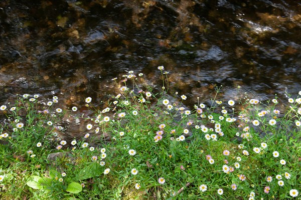 Veules-les-Roses, Moulin des Cressonnières