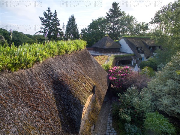 Campigny, hotel restaurant Le Petit Coq aux Champs, thatched roof