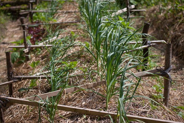 Campigny, hotel restaurant Le Petit Coq aux Champs, permaculture vegatable garden