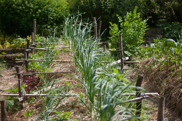 Campigny, hotel restaurant Le Petit Coq aux Champs, permaculture vegatable garden