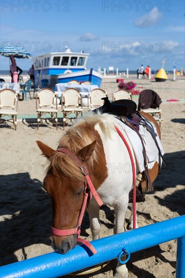 Trouville-sur-Mer (Calvados)