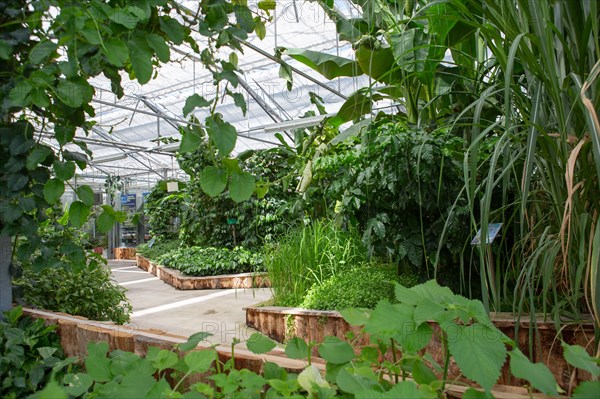 Le Havre, hanging gardens, Fort de Sainte Adresse