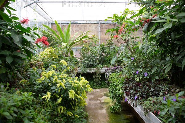 Le Havre, jardins suspendus, Fort de Sainte Adresse