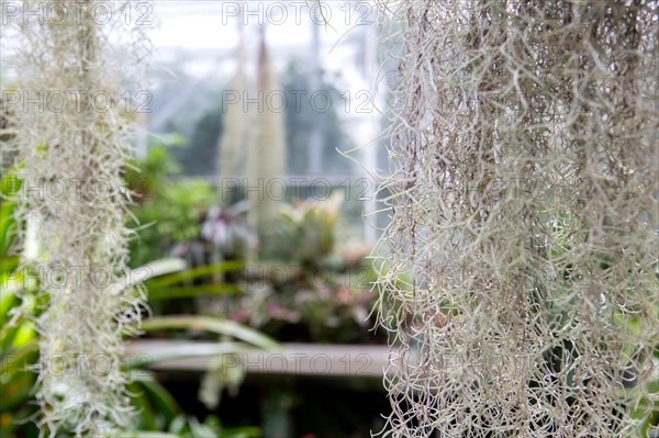 Le Havre, hanging gardens, Fort de Sainte Adresse