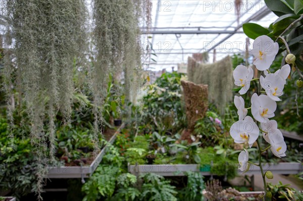 Le Havre, hanging gardens, Fort de Sainte Adresse