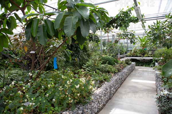 Le Havre, hanging gardens, Fort de Sainte Adresse