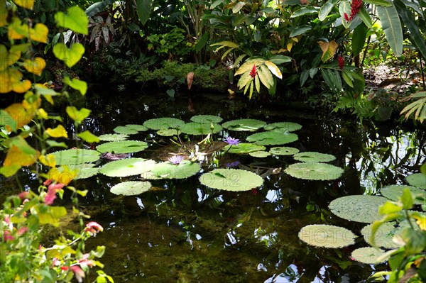 Le Havre, jardins suspendus, Fort de Sainte Adresse