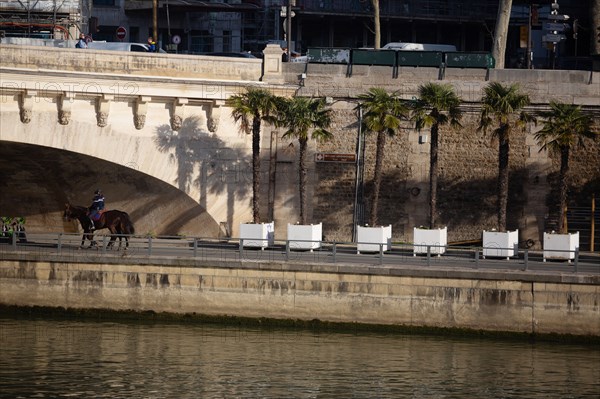 The Quai du Louvre in Paris