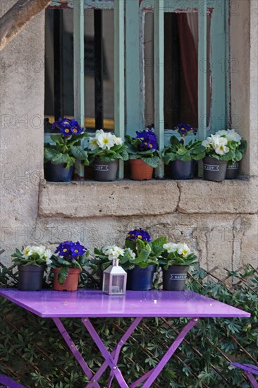 Paris, restaurant "Au Vieux Paris d'Arcole"