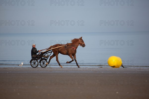 Deauville, plage