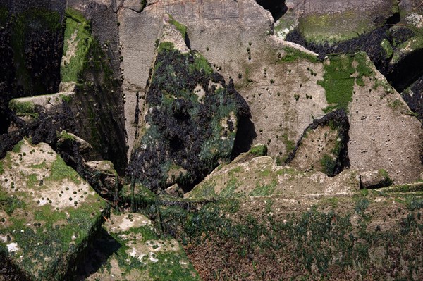 Côte de nacre, landing beaches