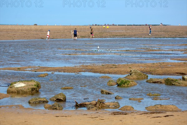 Côte de nacre, landing beaches