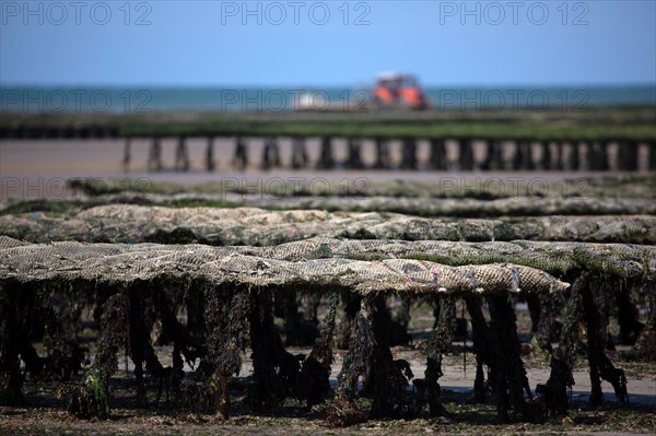 Côte de nacre, landing beaches