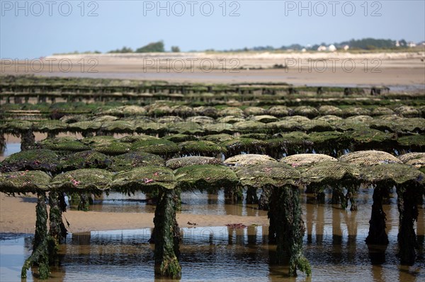 Côte de nacre, landing beaches